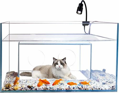 Fish Tank with Hole for Cat