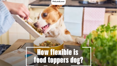 How flexible is food toppers dog?