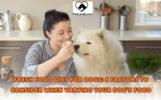 Fresh food diet for dogs: 5 factors to consider when varying your dog’s food