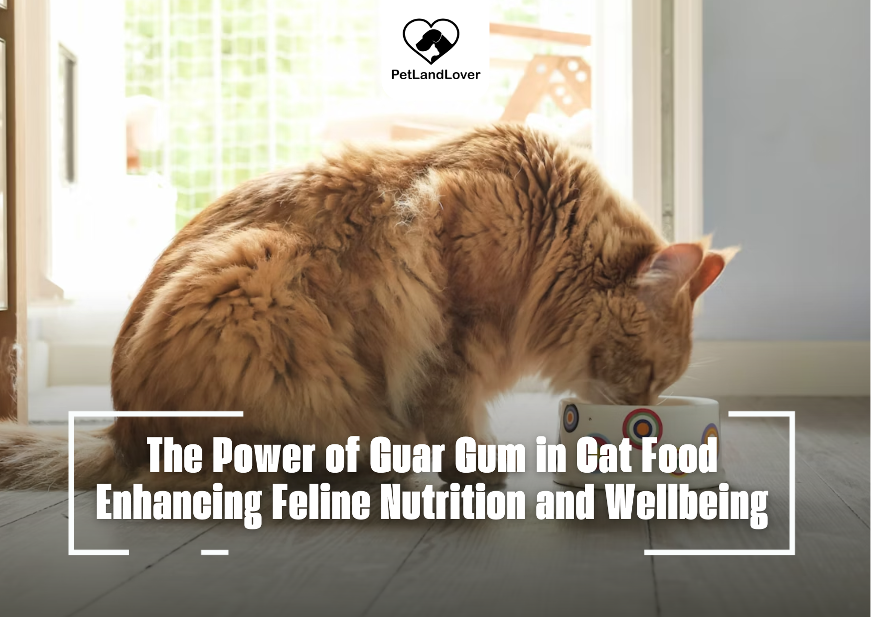 The Power of Guar Gum in Cat Food Enhancing Feline Nutrition and Wellbeing