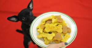 Healthy Snacks for Dogs