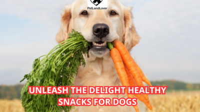 Unleash the Delight Healthy Snacks for Dogs