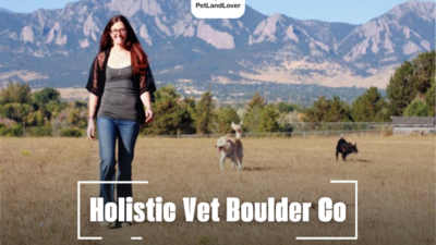 Holistic Vet Boulder Co