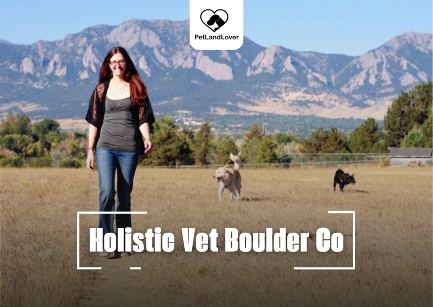 Holistic Vet Boulder Co