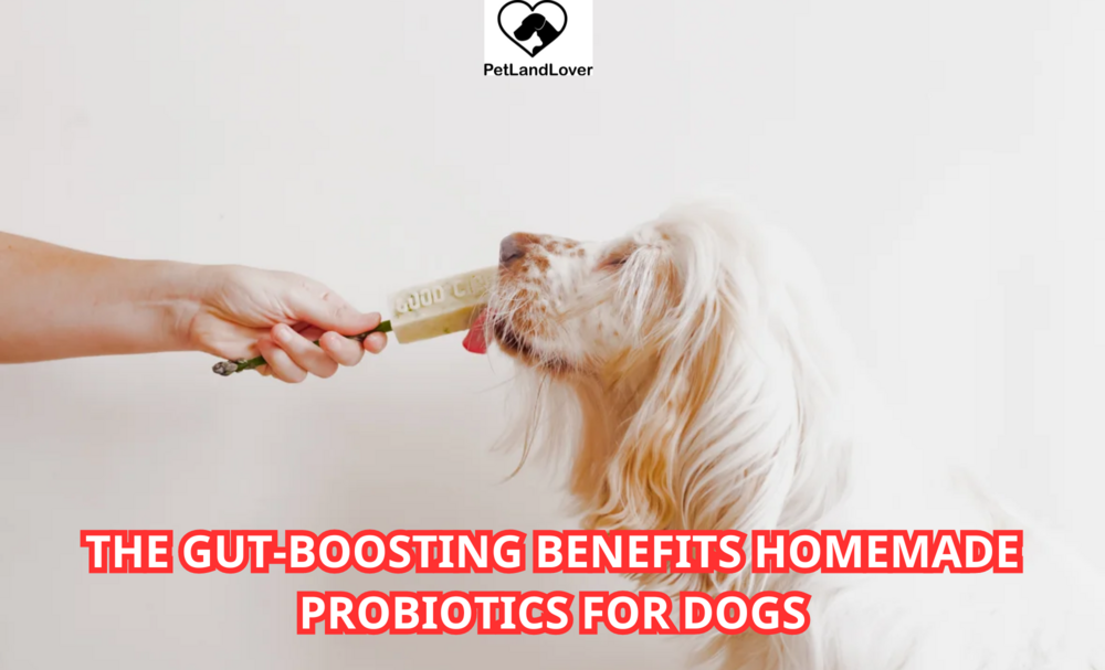 The Gut-Boosting Benefits Homemade Probiotics for Dogs