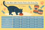 How Much Cat Food Per Day