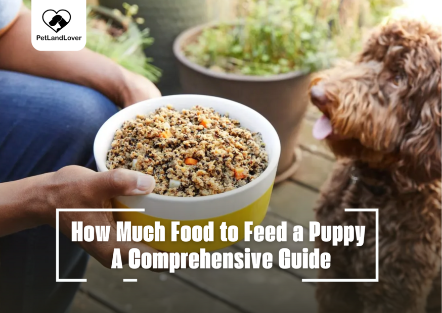 How Much Food to Feed a Puppy A Comprehensive Guide