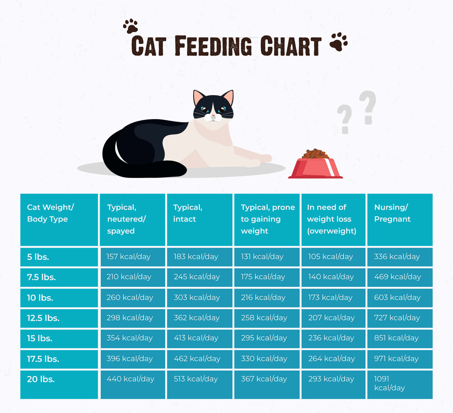 How often should cats be fed