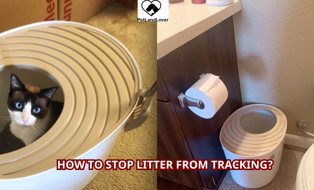 How to Stop Litter from Tracking?