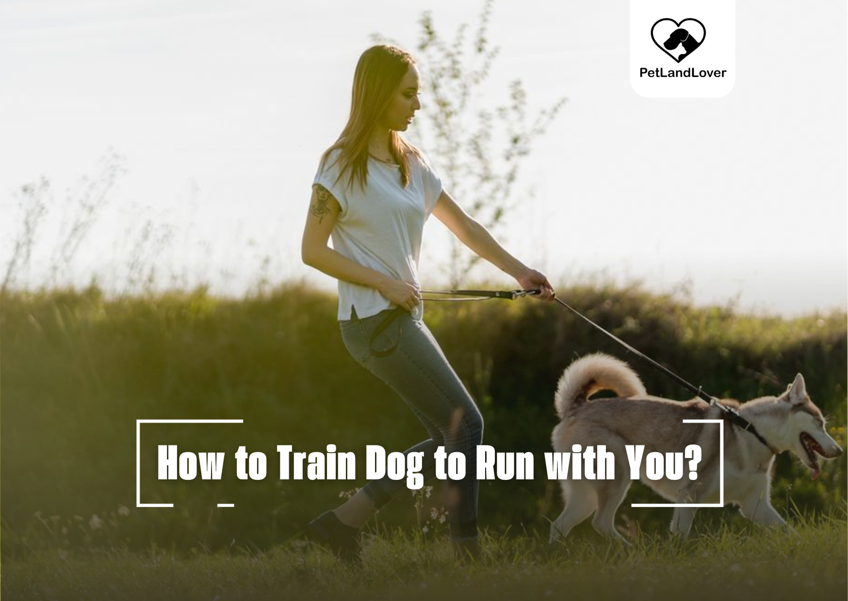 How to Train Dog to Run with You?