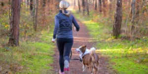 How to Train Dog to Run with You?