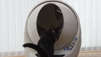 The Oko Cat Litter Robot