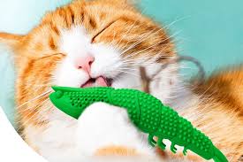 kitten teething toys