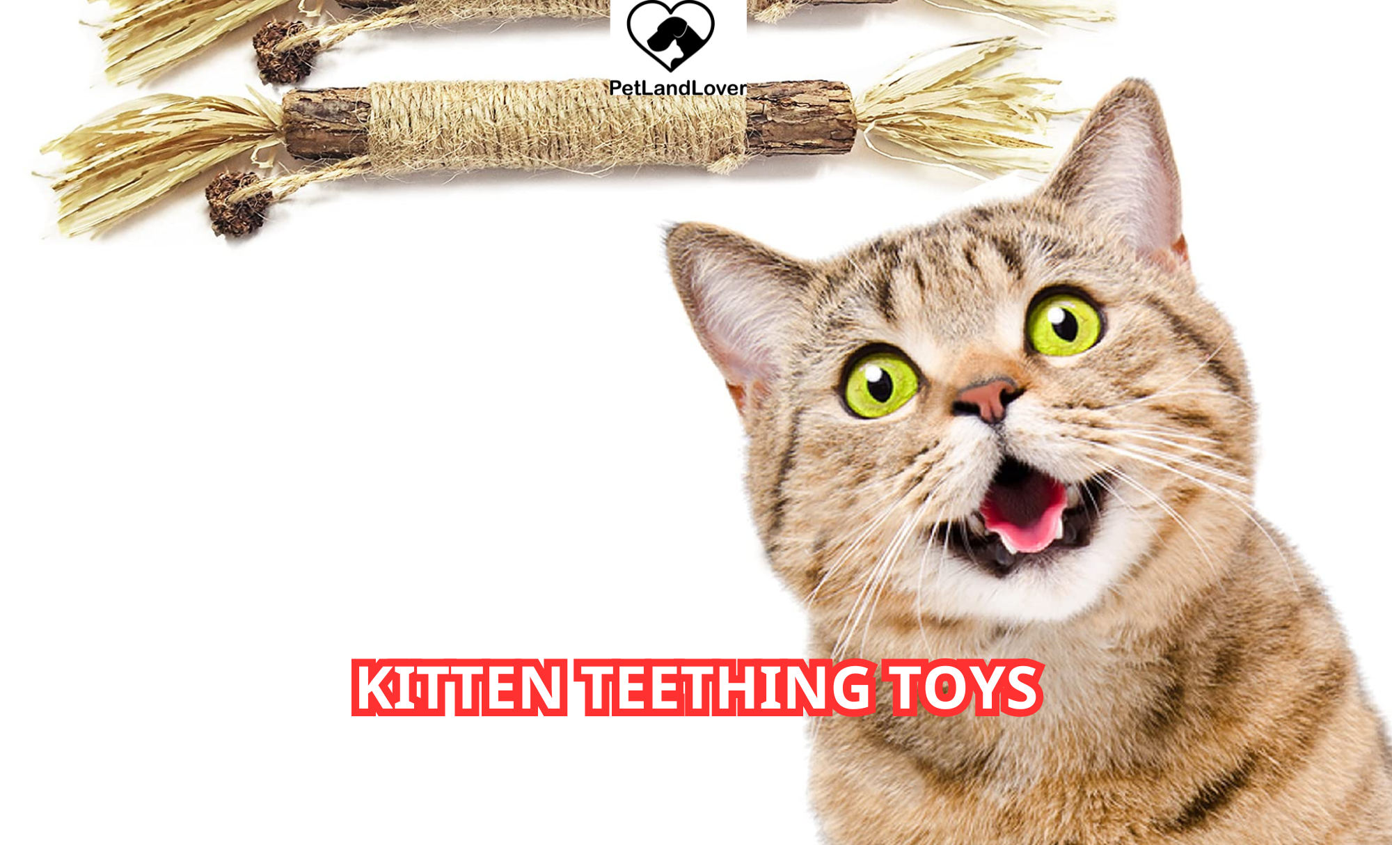 Kitten Teething Toys