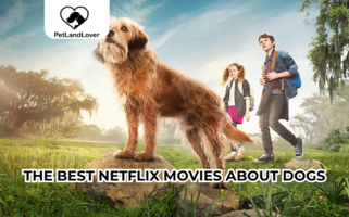 The Best Netflix Movies About Dogs