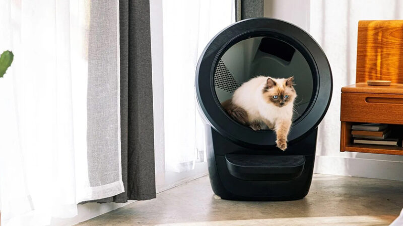 The Oko Cat Litter Robot – A Comprehensive Guide