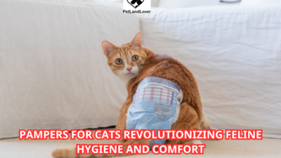 Pampers for Cats Revolutionizing Feline Hygiene and Comfort