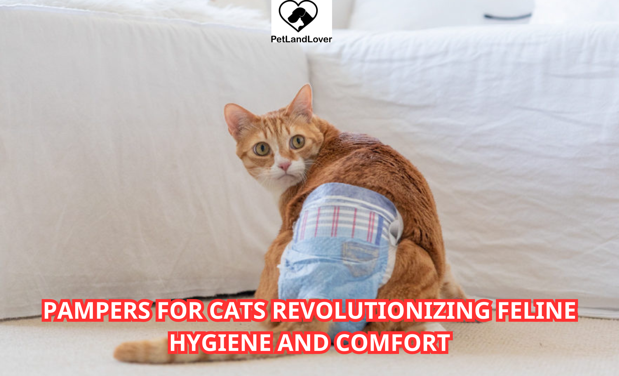 Pampers for Cats Revolutionizing Feline Hygiene and Comfort