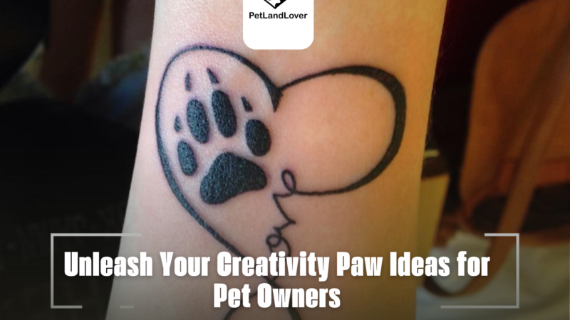 Unleash Your Creativity Paw Ideas for Pet Owners