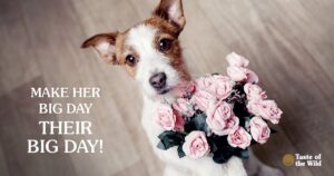 pet mothers day