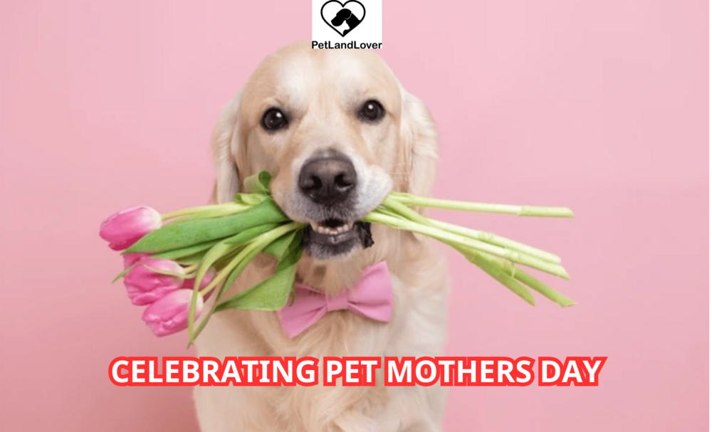 Celebrating Pet Mothers Day