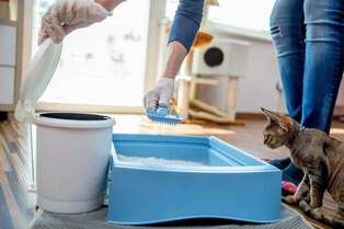 prevent kitty litter tracking