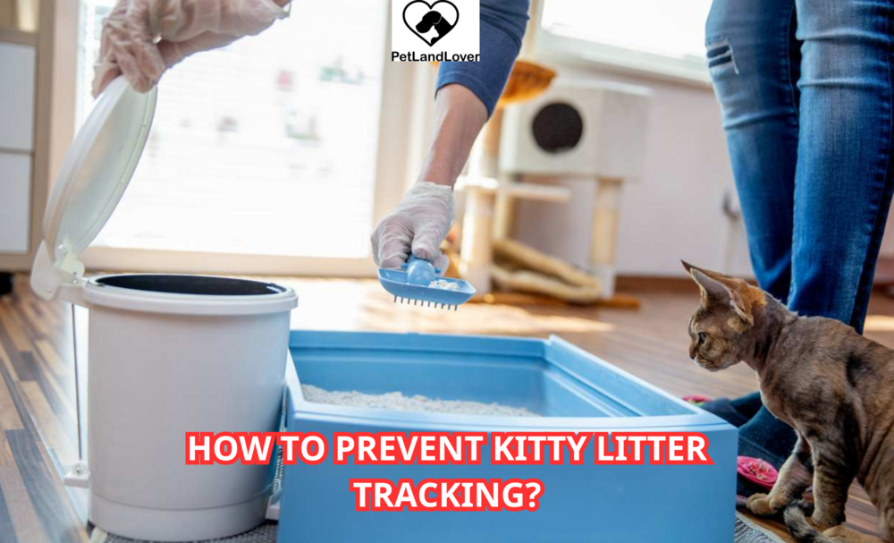 How to prevent kitty litter tracking?