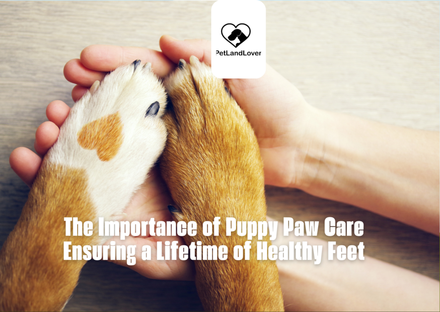 The Importance of Puppy Paw Care Ensuring a Lifetime of Healthy Feet