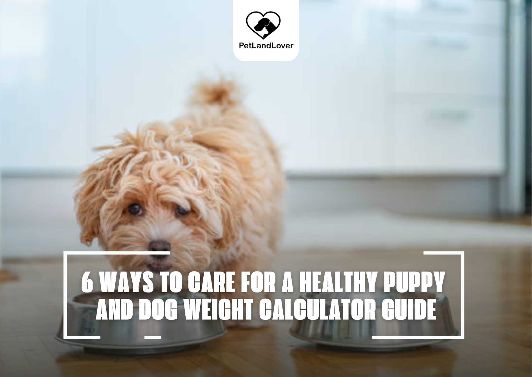 6 WAYS TO CARE FOR A HEALTHY PUPPY AND DOG WEIGHT CALCULATOR GUIDE