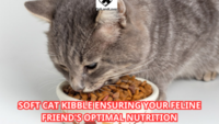 Soft Cat Kibble Ensuring Your Feline Friend’s Optimal Nutrition