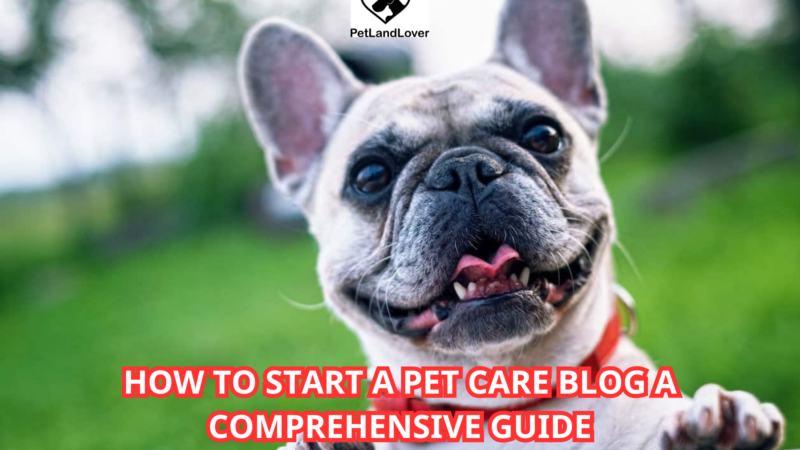 How to Start a Pet Care Blog A Comprehensive Guide