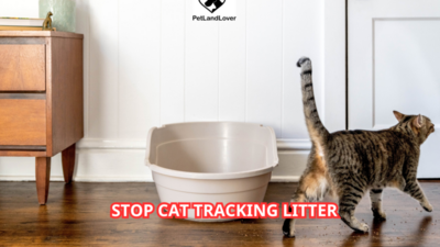 Stop cat tracking litter