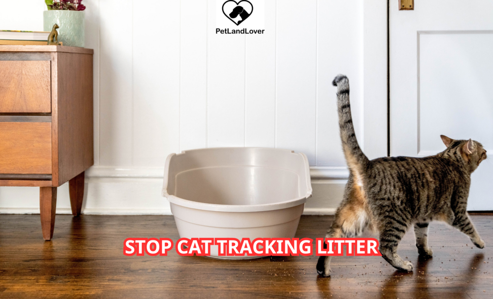 Stop cat tracking litter