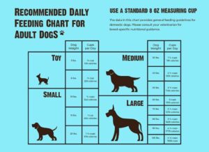 The Puppy Feeding Schedule A Comprehensive Guide