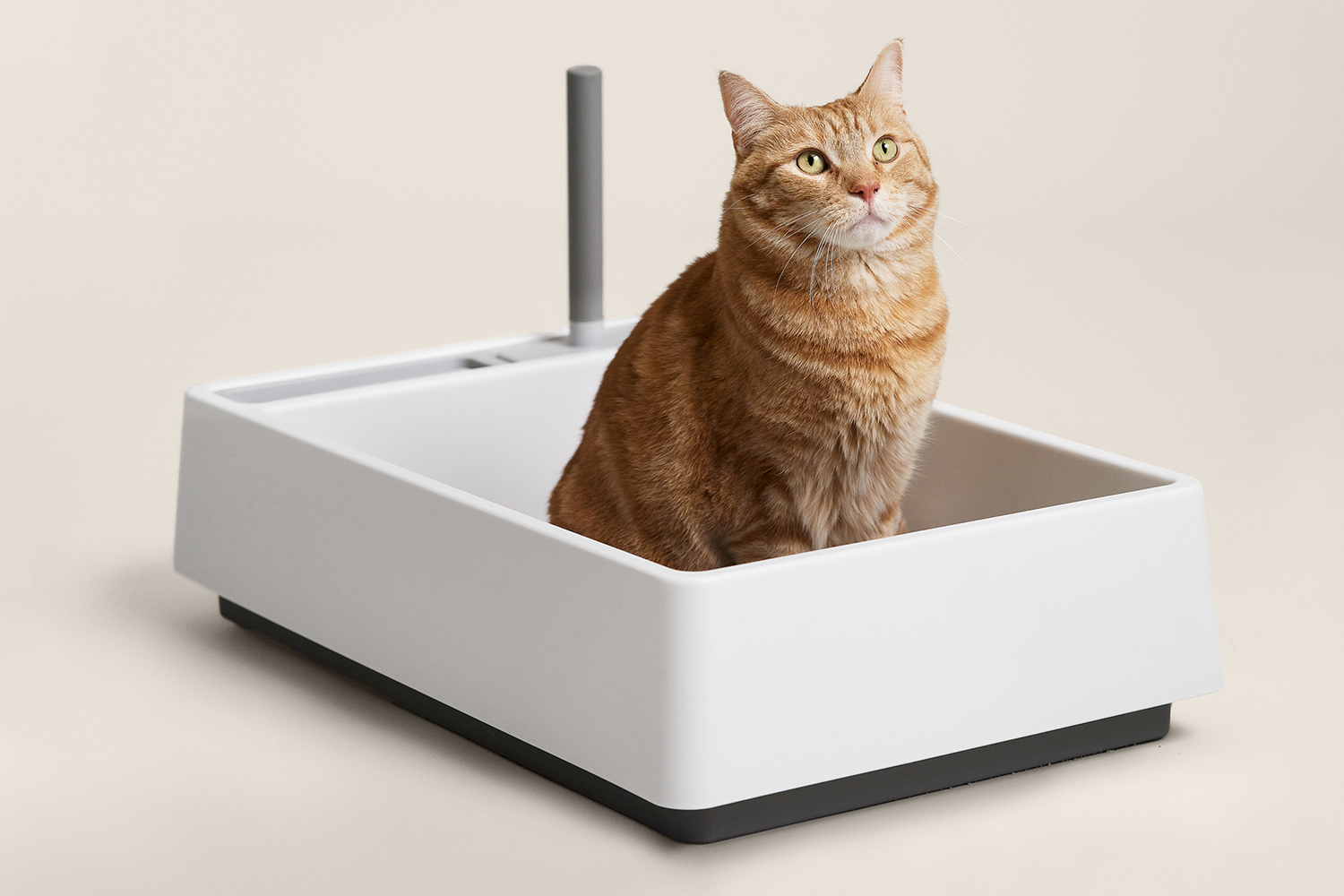 Litter Catch Trays for Pet Owners