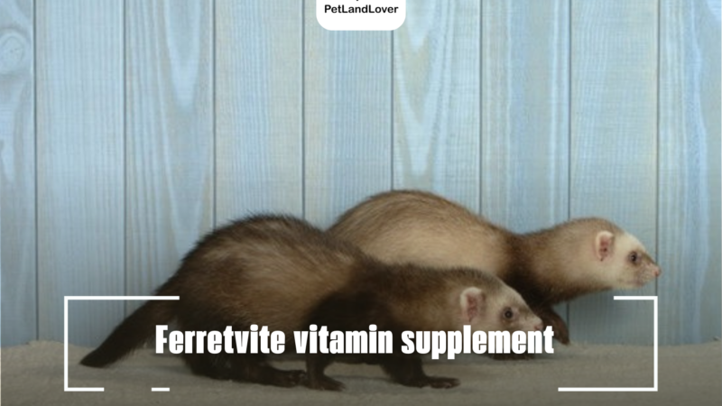 Ferretvite vitamin supplement