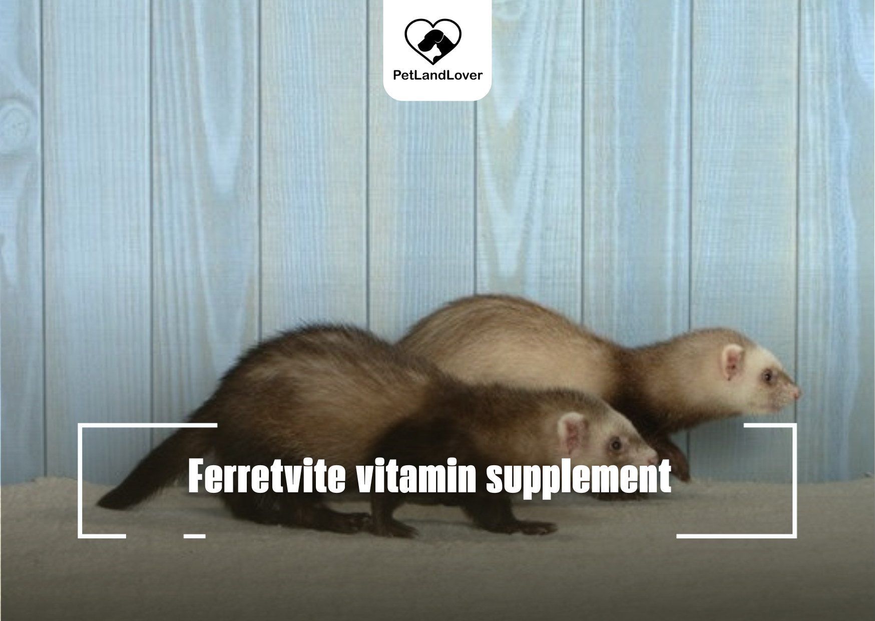 Ferretvite vitamin supplement