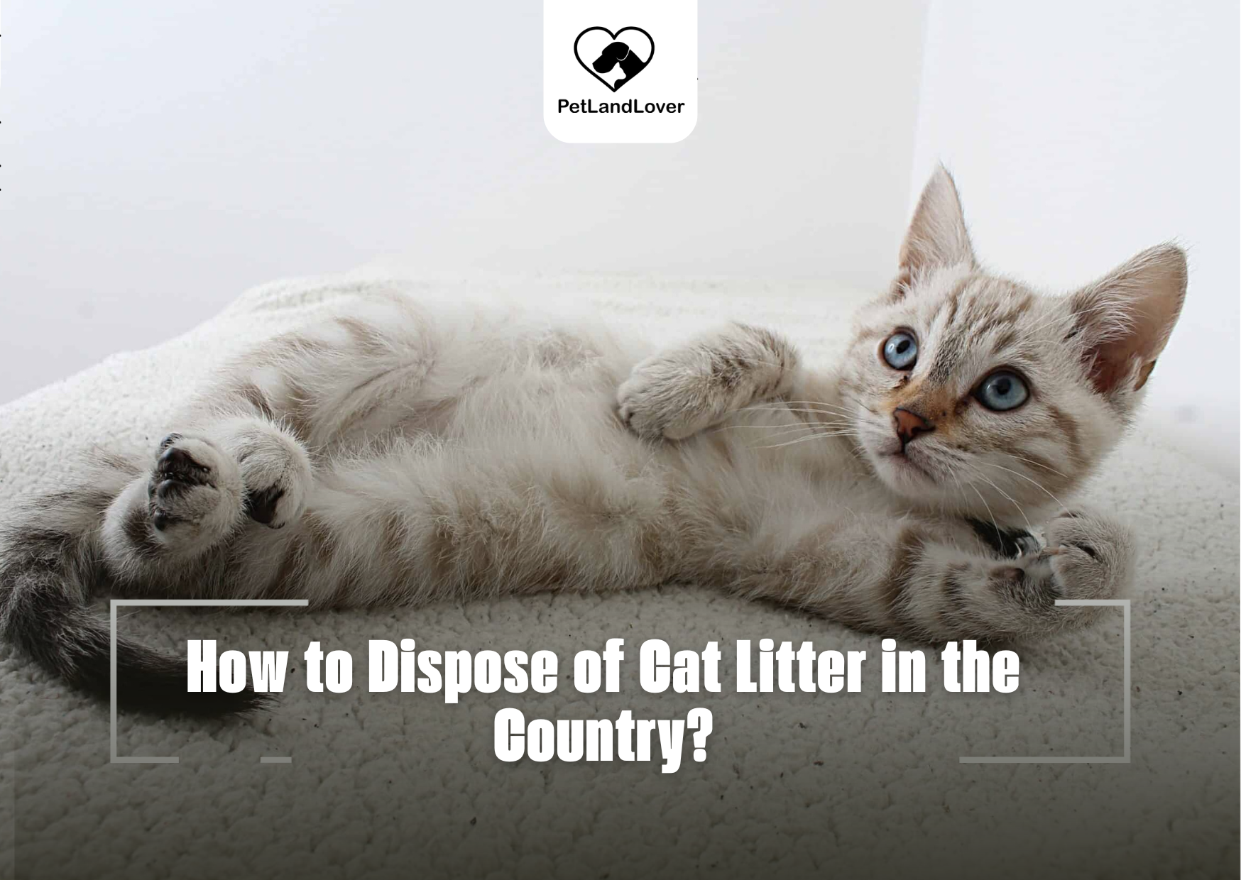 How to Dispose of Cat Litter in the Country?