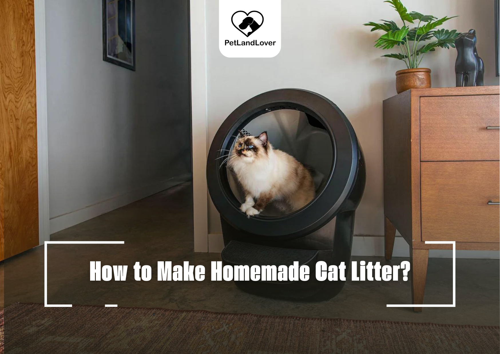 How to Make Homemade Cat Litter?