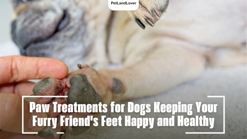 Paw Treatments for Dogs Keeping Your Furry Friend’s Feet Happy and Healthy