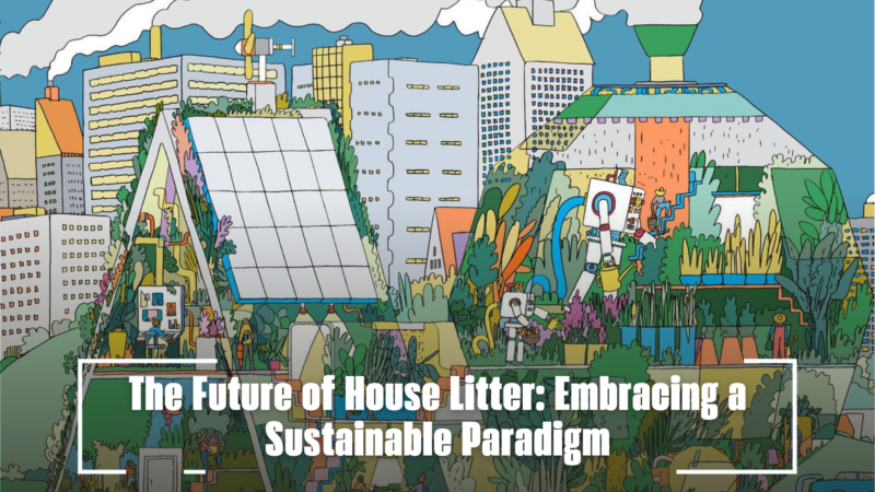 The Future of House Litter: Embracing a Sustainable Paradigm