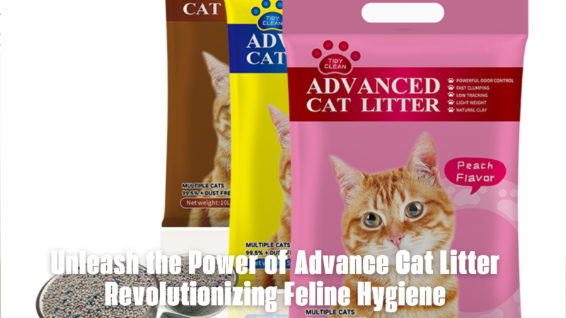 Unleash the Power of Advance Cat Litter Revolutionizing Feline Hygiene