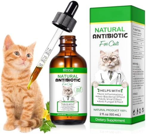 antibiotics for cats