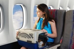 Can I bring pets on the plane?