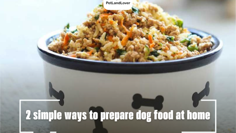 2 simple ways to prepare dog food at home