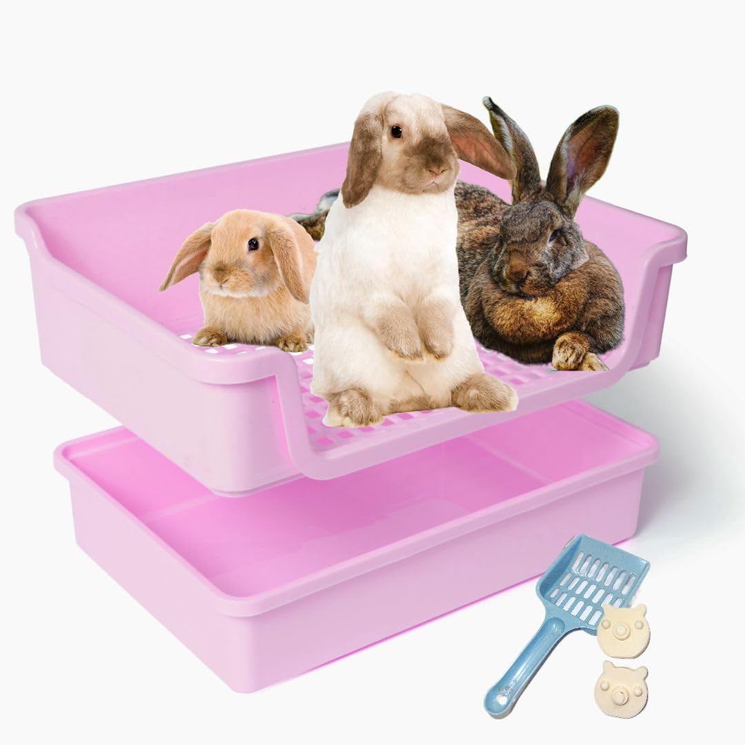 litter box trained bunnies for sale