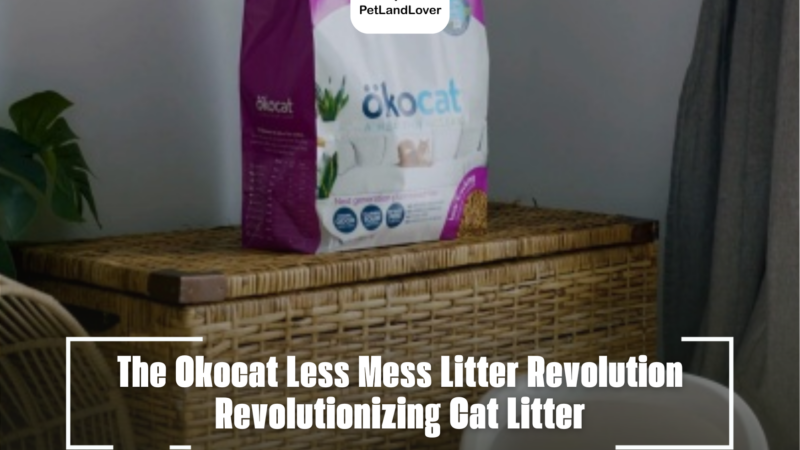 The Okocat Less Mess Litter Revolution Revolutionizing Cat Litter