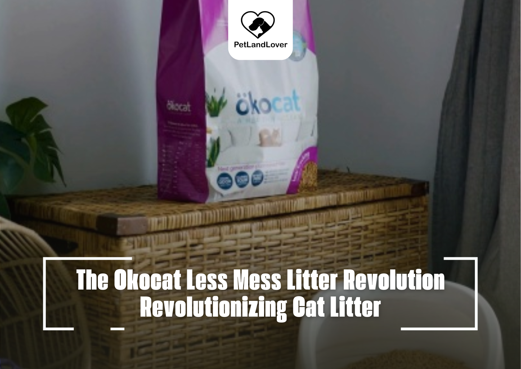 The Okocat Less Mess Litter Revolution Revolutionizing Cat Litter