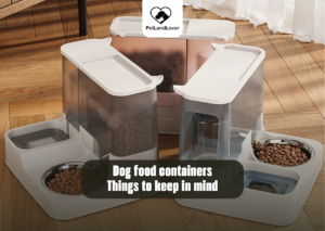 Dog food containers - Things to keep in mind