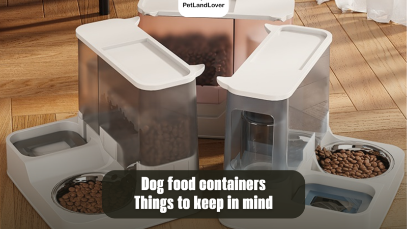 Dog food containers – Things to keep in mind